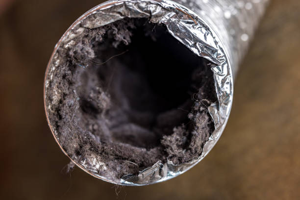 Best Ductwork Cleaning Services  in Lame Deer, MT